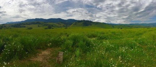 7. 草原上的野餐