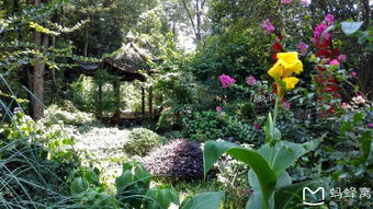 正面范例（杭州法喜寺）