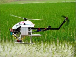 国家标准， 严格把关