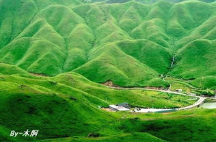 水田冬闲期，车厘子的春天