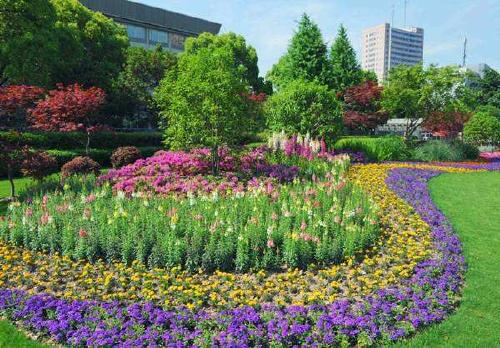 园林绿化中花木的多样性分类