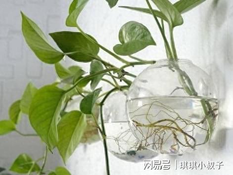 2. 自然界的馈赠