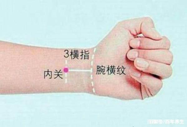 龙眼穴位于手厥阴心包经，具有宁心安神、缓解心悸的作用