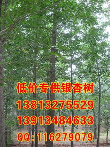 父子同劳模，富乡邻