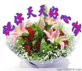 十一玫瑰十一百合，爱情纯洁如白