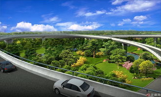 高架桥景观绿化品种配置建议