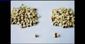 怎么辨别价格背后的品质优劣？