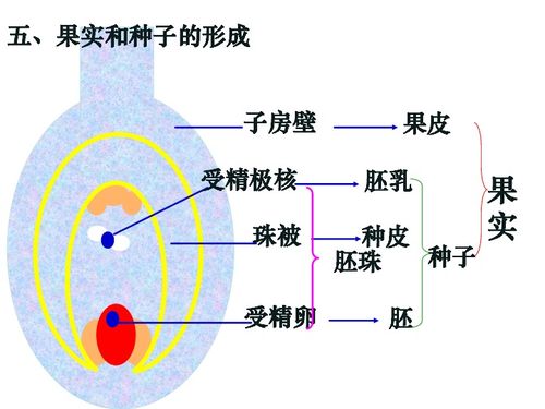 改性活性炭， 吸附尾气中的有害物质