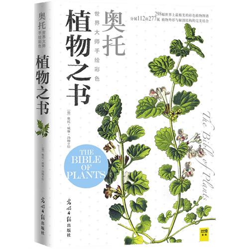 文字里的森林，视觉与文字的盛宴