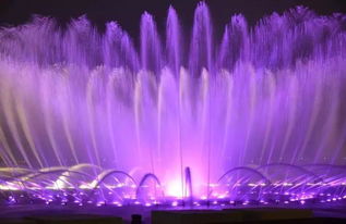 音乐相伴，喷泉的情感共鸣