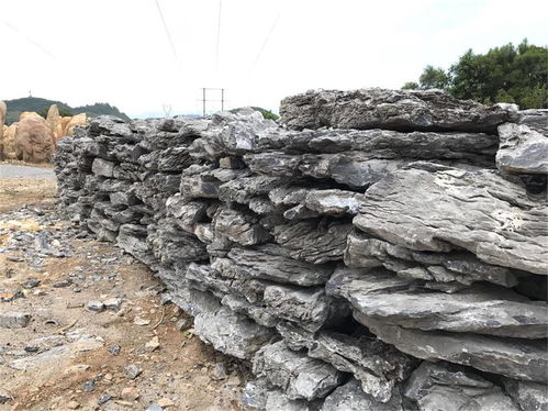 私家庭院景观石的魔法之旅