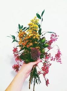 结香花的寓意和风水有何神奇之处，能带来怎样的好运和吉祥