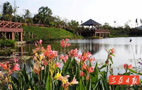 为啥专挑这些花种路边？