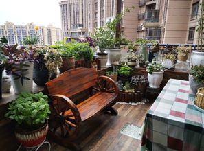 通风过度，花儿受得了吗？