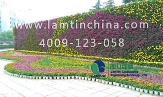 二、 墙面垂直绿化箱的安装步骤