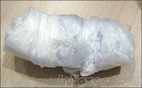 种子与塑料袋：一场惯与保存的对话