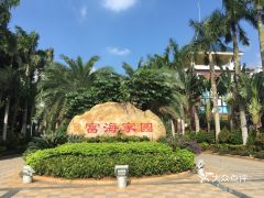 话说海南文昌那片花