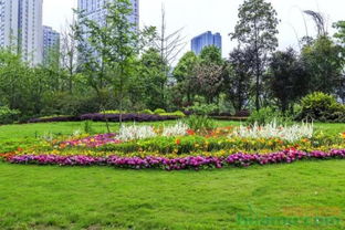 花卉市场潜力大