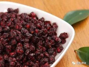 五味子种植：别再傻傻地埋土里了！