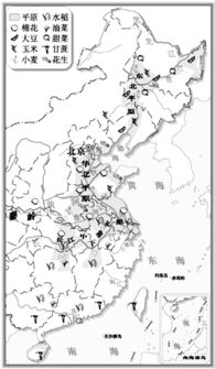 苜蓿生长环境揭秘，分布广泛于我国各地农业区