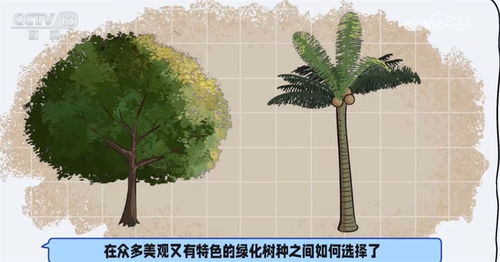 一、彩色树种的分类大观