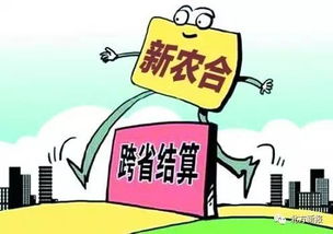 麦麸能直接喂鸡吗？加工厂员工亲测避坑，如何省百元？