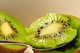 球根植物：秋季的美丽绽放