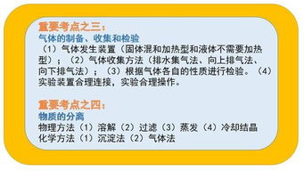 如何通过饲料吸收率提升实战手册中的5大增效绝招，让新手快速掌握高效养殖技巧？