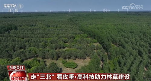 牧民自创的省力技巧