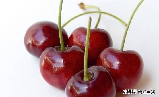 2017年车厘子多少钱一斤？不同地区价格差异大吗