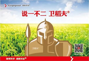 农药违规经营有哪些具体规定？