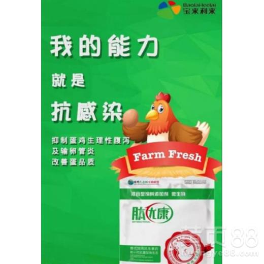 河北康地饲料质量怎么样，和正大、希望等品牌相比如何？