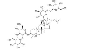 人参皂苷复合物Neng减少母猪产弱仔数量吗？