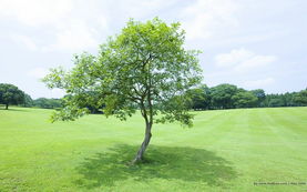 可持续发展之路的探索