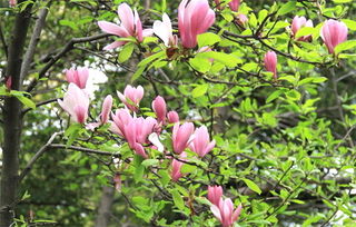 水分管理：保墒是关键