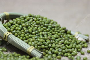 绿豆的坚韧之壳