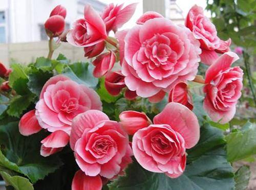 季节因素对价格的影响