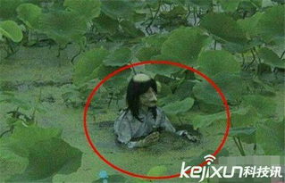 水鬼蕉“水鬼”之谜，究竟隐藏着怎样的传说