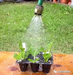 生根过程：耐心等待的小游戏