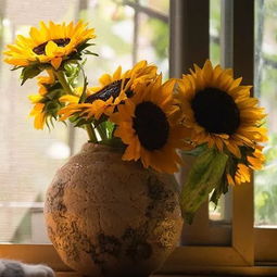 插花工具：家里有哪些可依用