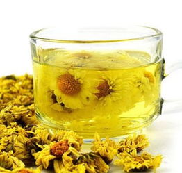 菊花茶怎么泡才有效？喝菊花茶有哪些好处