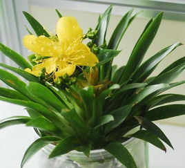 第一步：控水脱盆