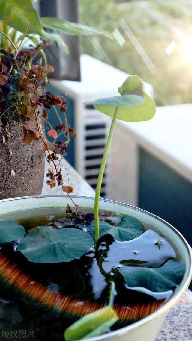 施肥要注意时间和方法