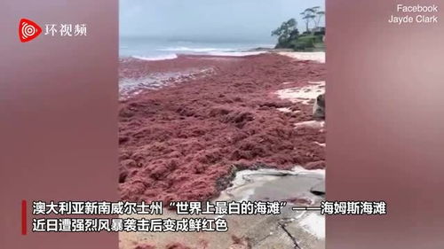 科学分类， 针对性防治