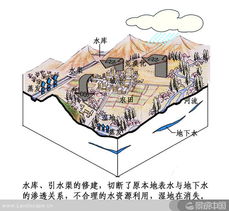 异质性：丰富多变