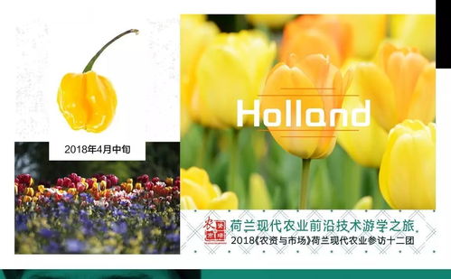 除草剂市场动态：明年价格走势预测