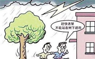 秋末气温下降，蜜蜂易受寒