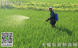 喷施的小技巧