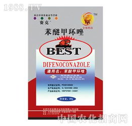 药物中毒怎么办