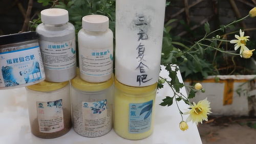 如何挑选优质花卉肥料？